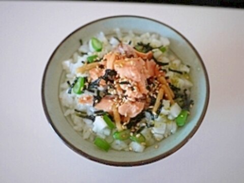 海苔茶漬けのもとで　鮭茶漬け